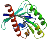 RAB, Member Of RAS Oncogene Family Like Protein 5 (RABL5)