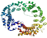 RAB GTPase Activating Protein 1 (RABGAP1)