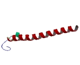 RAB Guanine Nucleotide Exchange Factor (RABGEF1)