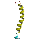 RAB Interacting Lysosomal Protein Like Protein 1 (RILPL1)