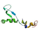 RAB Interacting Lysosomal Protein Like Protein 2 (RILPL2)