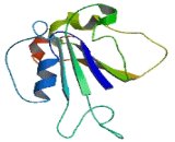 RAB Like Protein 1 (RBEL1)