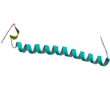 RAB11 Family Interacting Protein 2 (RAB11FIP2)