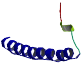 RAB11 Family Interacting Protein 4 (RAB11FIP4)