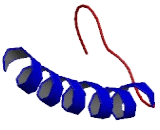 RAB11 Family Interacting Protein 5 (RAB11FIP5)