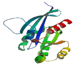 RAB12, Member RAS Oncogene Family (RAB12)