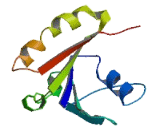 RAB20, Member RAS Oncogene Family (RAB20)