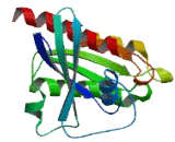 RAB25, Member RAS Oncogene Family (RAB25)