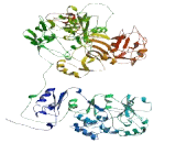 RAB3 GTPase Activating Protein Subunit 1 (RAB3GAP1)