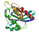 RAB3A, Member RAS Oncogene Family (RAB3A)