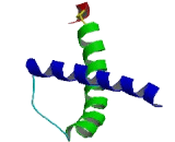 RAB3A Interacting Protein Like Protein 1 (RAB3IL1)