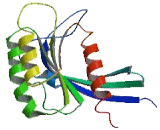 RAB40C, Member RAS Oncogene Family (RAB40C)