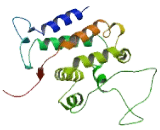 RAB6 Interacting Protein 1 (RAB6IP1)