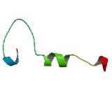 RAB7, Member RAS Oncogene Family Like Protein 1 (RAB7L1)