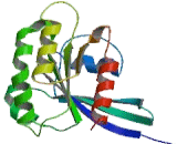 RAB9A, Member RAS Oncogene Family (RAB9A)