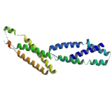 RAD50 Interacting Protein 1 (RINT1)