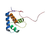 RALBP1 Associated Eps Domain Containing Protein 1 (REPS1)