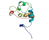 RALBP1 Associated Eps Domain Containing Protein 2 (REPS2)