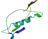 RAN Binding Protein 17 (RANBP17)