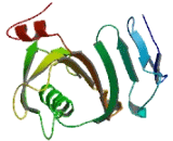 RAN Guanine Nucleotide Release Factor (RANGRF)