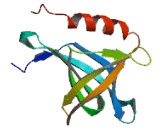 RANBP2 Like And GRIP Domain Containing Protein 1 (RGPD1)