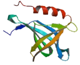 RANBP2 Like And GRIP Domain Containing Protein 2 (RGPD2)