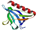 RANBP2 Like And GRIP Domain Containing Protein 3 (RGPD3)