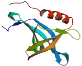 RANBP2 Like And GRIP Domain Containing Protein 4 (RGPD4)