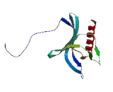 RANBP2 Like And GRIP Domain Containing Protein 8 (RGPD8)