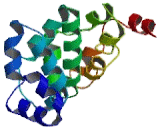 RAP1, GTP-GDP Dissociation Stimulator 1 (RAP1GDS1)