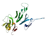 RCC1 And BTB Domain Containing Protein 1 (RCBTB1)