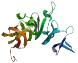 RCC1 And BTB Domain Containing Protein 2 (RCBTB2)