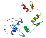 RE1 Silencing Transcription Factor (REST)