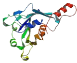 REM2 And Rab Like Small GTPase 1 (RSG1)