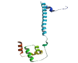 REST Corepressor 1 (RCOR1)