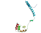 REST Corepressor 2 (RCOR2)