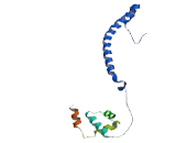 REST Corepressor 3 (RCOR3)