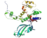 RIB43A Domain With Coiled Coils Protein 1 (RIBC1)