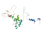 RIB43A Domain With Coiled Coils Protein 2 (RIBC2)