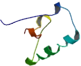 RIO Kinase 2 (RIOK2)