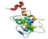 RLL Motif Containing Protein 1 (RLLM1)