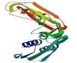 RNA-3-Terminal Phosphate Cyclase Like Protein (RCL1)