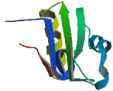 RNA Binding Motif, Single Stranded Interacting Protein 2 (RBMS2)