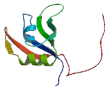 RNA Binding Motif Protein, X-Linked (RBMX)