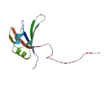 RNA Binding Motif Protein, Y-Linked Family 1, Member A1 (RBMY1A1)