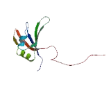 RNA Binding Motif Protein, Y-Linked Family 1, Member B (RBMY1B)