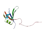 RNA Binding Motif Protein, Y-Linked Family 1, Member D (RBMY1D)