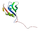 RNA Binding Motif Protein, Y-Linked Family 1, Member E (RBMY1E)