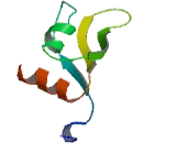 RNA Binding Motif Protein, Y-Linked Family 1, Member F (RBMY1F)