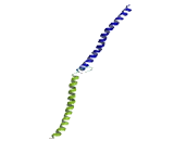 RNA Binding Motif Protein 13 (RBM13)